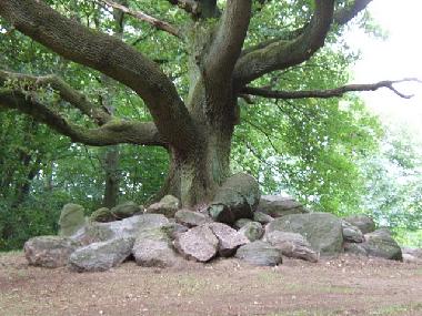 Schloss / Burg in Rerik/ Hohen Niendorf (Mecklenburgische Ostseek�ste) oder Ferienwohnung oder Ferienhaus