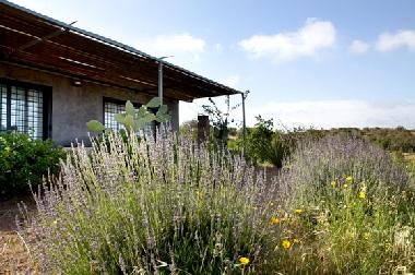 Ferienhaus in Noto (Siracusa) oder Ferienwohnung oder Ferienhaus