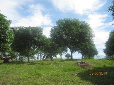 Pension in Del Monte (Davao) oder Ferienwohnung oder Ferienhaus
