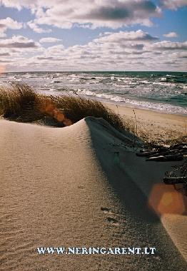 Ferienwohnung in Neringa (Klaipedos Apskritis) oder Ferienwohnung oder Ferienhaus
