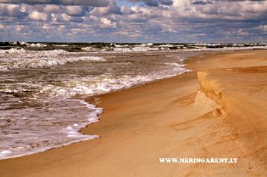 Ferienwohnung in Neringa (Klaipedos Apskritis) oder Ferienwohnung oder Ferienhaus