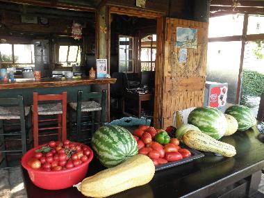 Ferienhaus in Zakynthos (Zakynthos) oder Ferienwohnung oder Ferienhaus