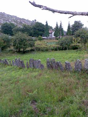 Villa in Covas (Norte) oder Ferienwohnung oder Ferienhaus