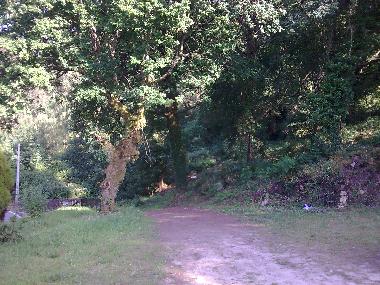 Villa in Covas (Norte) oder Ferienwohnung oder Ferienhaus