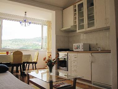 Ferienwohnung in Dubrovnik (Dubrovacko-Neretvanska) oder Ferienwohnung oder Ferienhaus