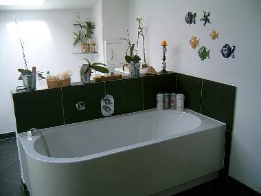 Ferienhaus in Malente (Holsteinische Schweiz) oder Ferienwohnung oder Ferienhaus