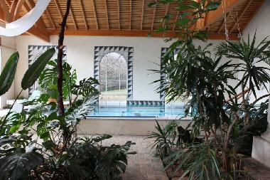 Wintergarten mit Schwimmbad