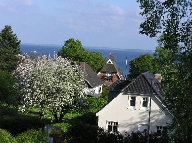 Blick aus dem Schlafzimmerfenster im Dachgeschoss