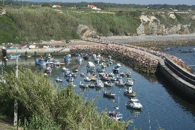 Ferienhaus in Almograve (Alentejo Litoral) oder Ferienwohnung oder Ferienhaus