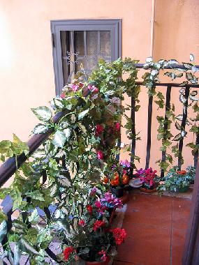 Ferienwohnung in rome (Rom) oder Ferienwohnung oder Ferienhaus