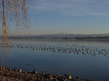 Blick Richtung Schweiz 