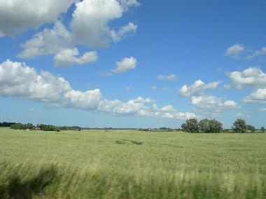 Endlose Felder im Fr�hsommer