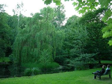 Der Park im Seebad Juliusruh