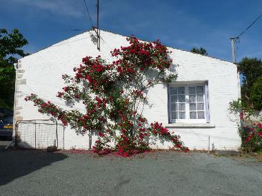 Ferienhaus in Meursac (Charente-Maritime) oder Ferienwohnung oder Ferienhaus