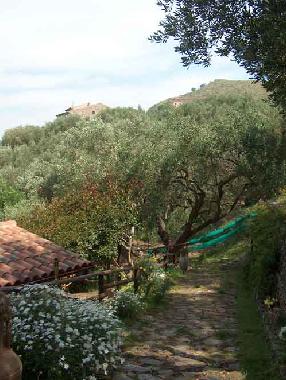 Ferienhaus in Ascea (Salerno) oder Ferienwohnung oder Ferienhaus