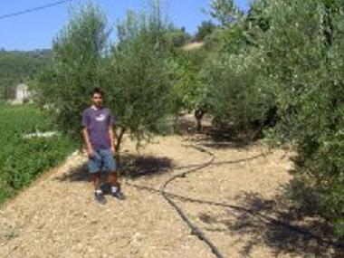 Ferienhaus in Karlovassi (Samos) oder Ferienwohnung oder Ferienhaus