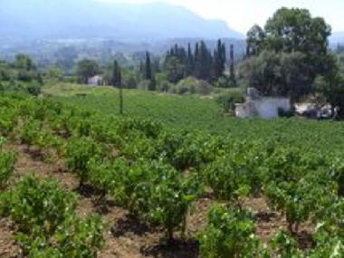 Ferienhaus in Karlovassi (Samos) oder Ferienwohnung oder Ferienhaus