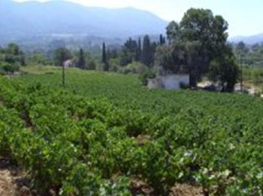 Ferienhaus in Karlovassi (Samos) oder Ferienwohnung oder Ferienhaus