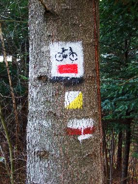Jetzt schon ber 1000km ausgewiesene Radwege in den Polnischen Waldkarpaten die auch bers Grundstc