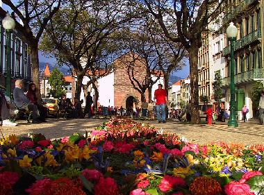 Ferienwohnung in Funchal (Madeira) oder Ferienwohnung oder Ferienhaus