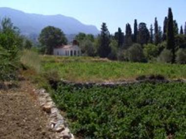 Ferienhaus in Karlovasi (Samos) oder Ferienwohnung oder Ferienhaus