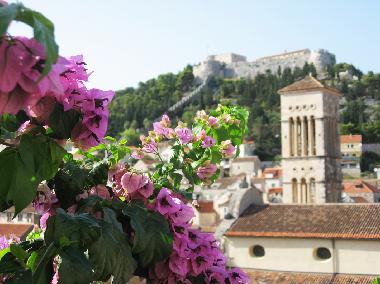 Ferienwohnung in Hvar (Splitsko-Dalmatinska) oder Ferienwohnung oder Ferienhaus
