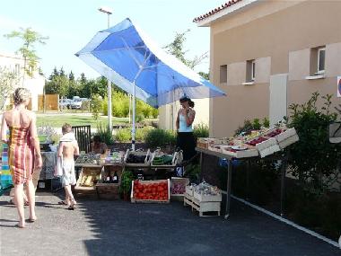 Ferienhaus in Aubignan (Vaucluse) oder Ferienwohnung oder Ferienhaus