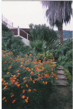 Ferienwohnung in Joppolo (Vibo Valentia) oder Ferienwohnung oder Ferienhaus