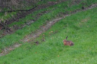 Ferienhaus in Uherce Mineralne (Podkarpackie) oder Ferienwohnung oder Ferienhaus
