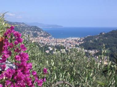 Ferienwohnung in Rapallo (Genova) oder Ferienwohnung oder Ferienhaus