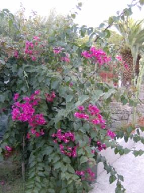 Ferienwohnung in joppolo (Vibo Valentia) oder Ferienwohnung oder Ferienhaus