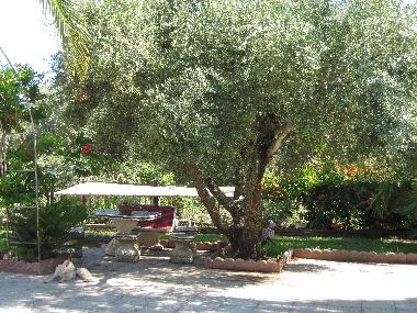 Ferienwohnung in joppolo (Vibo Valentia) oder Ferienwohnung oder Ferienhaus