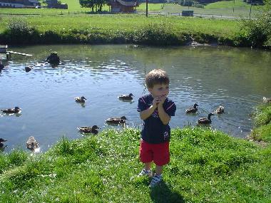 Ferienwohnung in Abtenau (Salzburg und Umgebung) oder Ferienwohnung oder Ferienhaus