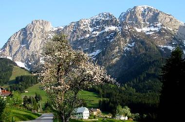 Ferienwohnung in Abtenau (Salzburg und Umgebung) oder Ferienwohnung oder Ferienhaus