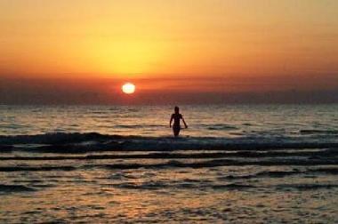 Ferienwohnung in OLIVA (Valencia / Val�ncia) oder Ferienwohnung oder Ferienhaus