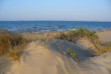 Ferienwohnung in OLIVA (Valencia / Val�ncia) oder Ferienwohnung oder Ferienhaus