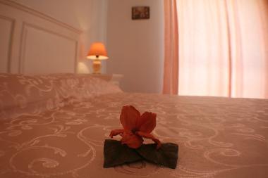 Ferienhaus in Dubrovnik (Dubrovacko-Neretvanska) oder Ferienwohnung oder Ferienhaus