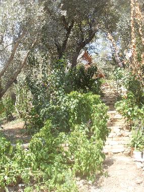 die Treppen bestehen aus nat�rlichen Steinen und wurden nicht mi