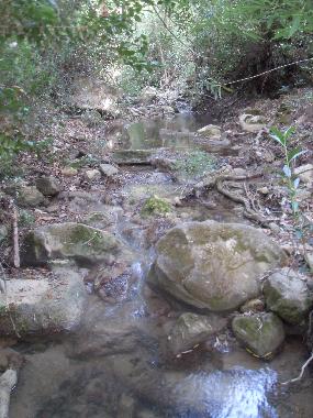 das Grundst�ck befindet sich im Tal, in der Mitte des Tals flie�t ein kleines Bach