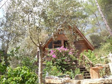 Chalet in Olympos (Antalya) oder Ferienwohnung oder Ferienhaus