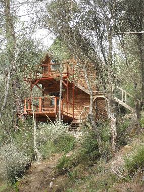 Chalet in Olympos (Antalya) oder Ferienwohnung oder Ferienhaus