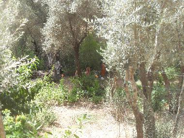 Chalet in Olympos (Antalya) oder Ferienwohnung oder Ferienhaus