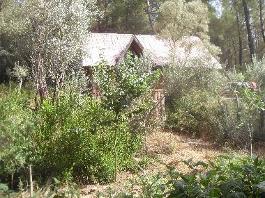 Chalet in Olympos (Antalya) oder Ferienwohnung oder Ferienhaus