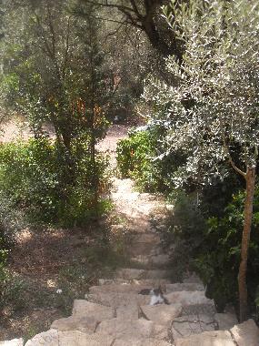 Chalet in Olympos (Antalya) oder Ferienwohnung oder Ferienhaus