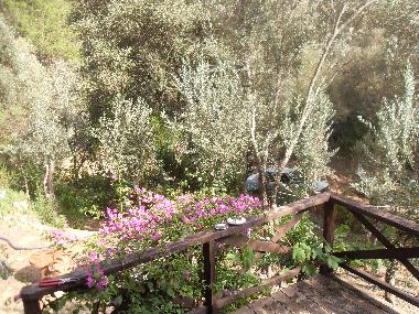 Chalet in Olympos (Antalya) oder Ferienwohnung oder Ferienhaus