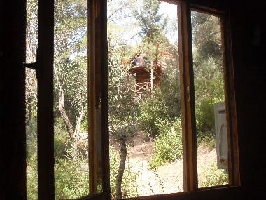 Chalet in Olympos (Antalya) oder Ferienwohnung oder Ferienhaus