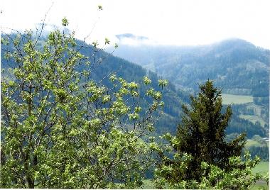 Blick ins Tal