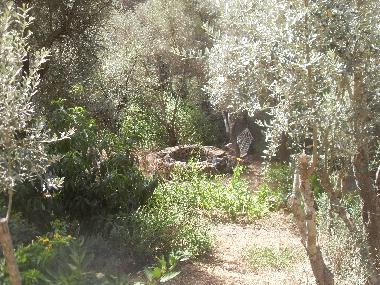 Chalet in Olympos (Antalya) oder Ferienwohnung oder Ferienhaus