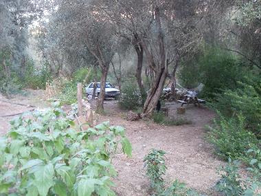 Chalet in Olympos (Antalya) oder Ferienwohnung oder Ferienhaus