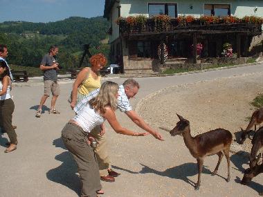 Ferienwohnung in Olimje (Podcetrtek) oder Ferienwohnung oder Ferienhaus
